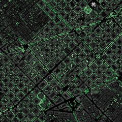 Tree Canopy Cover