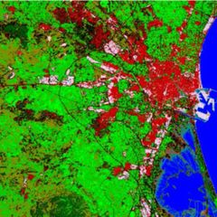 Land Cover Classification